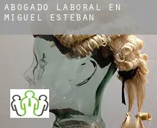 Abogado laboral en  Miguel Esteban