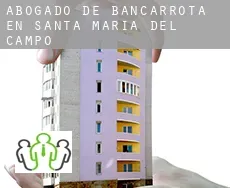 Abogado de bancarrota en  Santa María del Campo