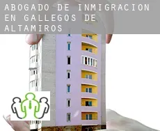 Abogado de inmigración en Gallegos de Altamiros