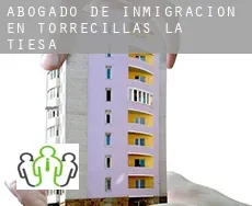 Abogado de inmigración en  Torrecillas de la Tiesa