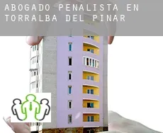 Abogado penalista en  Torralba del Pinar