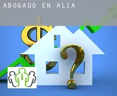 Abogado en  Alía