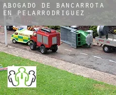 Abogado de bancarrota en  Pelarrodríguez