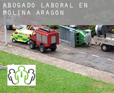 Abogado laboral en  Molina de Aragón
