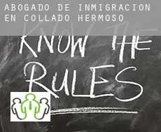 Abogado de inmigración en  Collado Hermoso