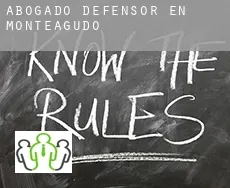 Abogado defensor en  Monteagudo