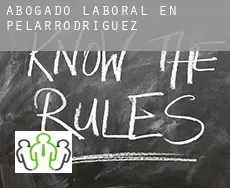 Abogado laboral en Pelarrodríguez