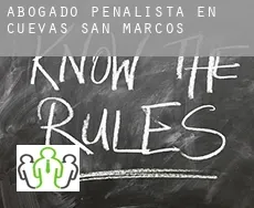 Abogado penalista en  Cuevas de San Marcos