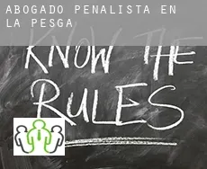 Abogado penalista en  La Pesga