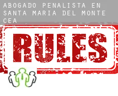 Abogado penalista en  Santa María del Monte de Cea