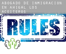 Abogado de inmigración en  Ahigal de los Aceiteros