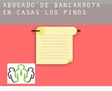 Abogado de bancarrota en  Casas de los Pinos