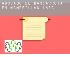 Abogado de bancarrota en  Mambrillas de Lara