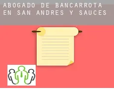 Abogado de bancarrota en  San Andrés Y Sauces