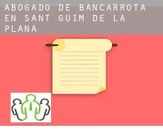 Abogado de bancarrota en  Sant Guim de la Plana