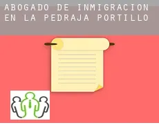 Abogado de inmigración en  La Pedraja de Portillo