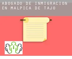 Abogado de inmigración en  Malpica de Tajo