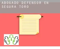 Abogado defensor en  Segura de Toro