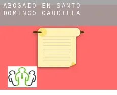 Abogado en  Santo Domingo-Caudilla