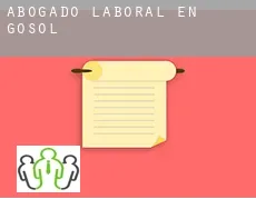 Abogado laboral en  Gósol