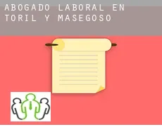 Abogado laboral en  Toril y Masegoso
