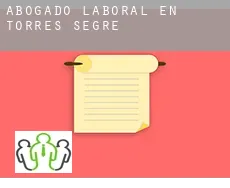 Abogado laboral en  Torres de Segre