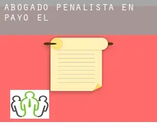 Abogado penalista en  Payo (El)