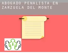 Abogado penalista en  Zarzuela del Monte