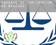 Abogado de inmigración en  Braojos