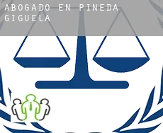 Abogado en  Pineda de Gigüela