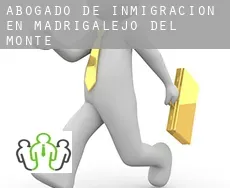Abogado de inmigración en  Madrigalejo del Monte