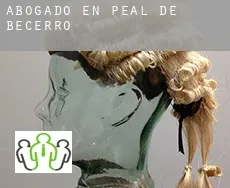 Abogado en  Peal de Becerro