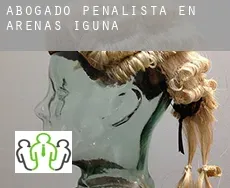 Abogado penalista en  Arenas de Iguña