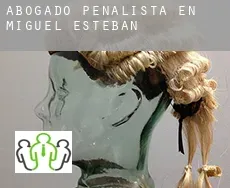 Abogado penalista en  Miguel Esteban