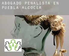 Abogado penalista en  Puebla de Alcocer