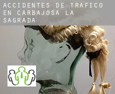 Accidentes de tráfico en  Carbajosa de la Sagrada