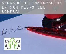 Abogado de inmigración en  San Pedro del Romeral