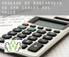 Abogado de bancarrota en  San Carlos del Valle