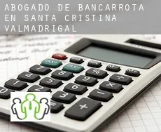 Abogado de bancarrota en  Santa Cristina de Valmadrigal