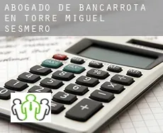 Abogado de bancarrota en  Torre de Miguel Sesmero
