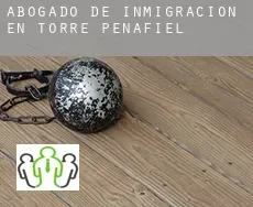 Abogado de inmigración en  Torre de Peñafiel