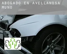 Abogado en  Avellanosa de Muñó