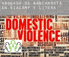 Abogado de bancarrota en  Viacamp y Litera